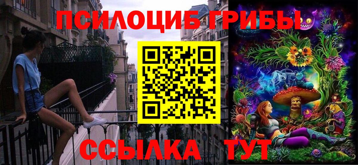 Галлюциногенные грибы прущие грибы Грозный